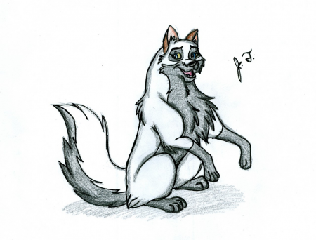 Detail Atka (Furme)
