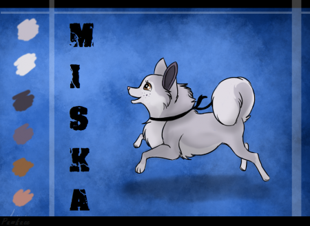 Detail Miska