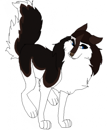 Detail Ellie(roxie) 