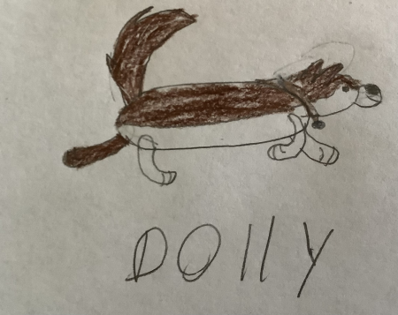 Detail Dolly (TH)