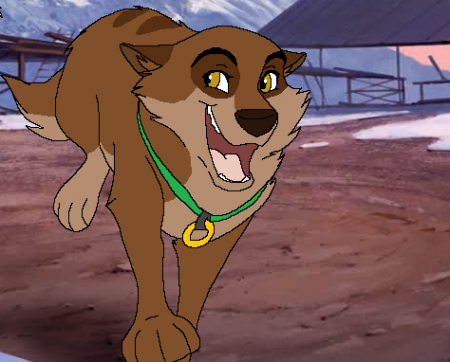 Detail Nanook