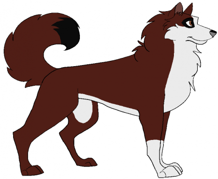 Detail Leo (WF)