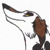 Mica