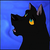 Dakota (lunawolf383)