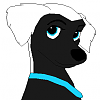 Jinx(Kia's)