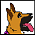Daisy (GSD)