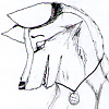 Jownah