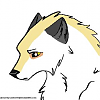 Lazok