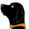 Callie (Dog)