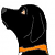 Callie (Dog)
