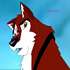 Dingo: