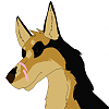 Wolfy