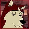 Dingo (Black Rose)