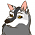Shilah (CB)
