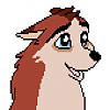 Dingo