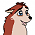 Dingo