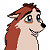 Dingo
