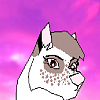 Littlepaw *Fursona*