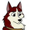 Noran
