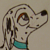 Dottie