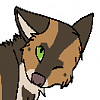 Zaki (WP)