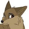 Mokii (WolvesLover917)