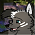 .Bear