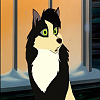 Sokka