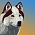 Chianti (Mav)