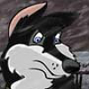 Shadow DeCanidae Husky