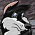 Shadow DeCanidae Husky