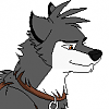 Shadow (wild)