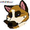 ...:Aridelli:...