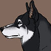 Chinook (Kelsey's)