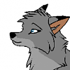 sakari