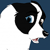 Sakari 