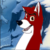 Luke(RootBeerWolfDog)