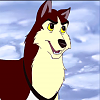 Dingo(RootBeerWolfDog)