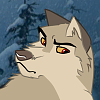Yukon(DV)