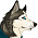 Bandit (AWJ)