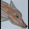 Aleera