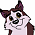 Brad(Mogo)