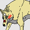 Star (inu)