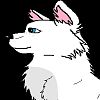 Léa Le Husky