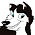 Jasiri (roxie) 