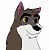 Avalanche The Wolf Dog,