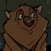 Chester (thatbandgeek)