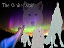 white wolf