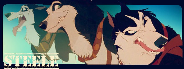 Steele Collage
