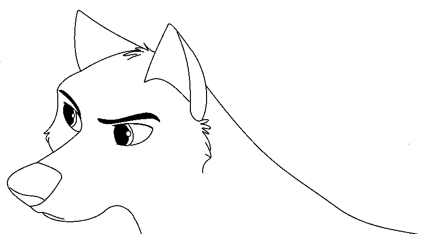 canine base